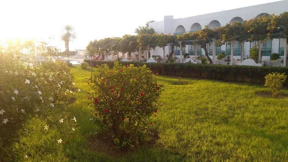 El Mouradi Cap Mahdia