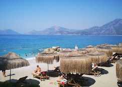 LIBERTY LYKIA ADAULTS ONLY