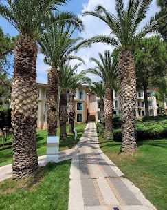 LIBERTY LYKIA ADAULTS ONLY