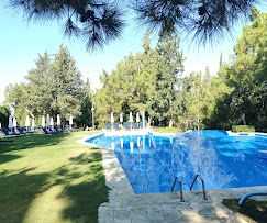 LIBERTY LYKIA ADAULTS ONLY